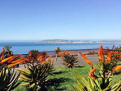 Wann ist die beste Zeit, um Plettenberg Bay zu besuchen?