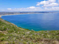 What Ocean is Plettenberg Bay Located Near?