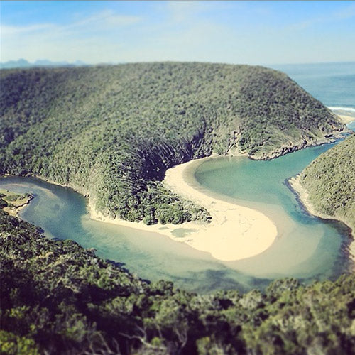 Activities in Plettenberg Bay