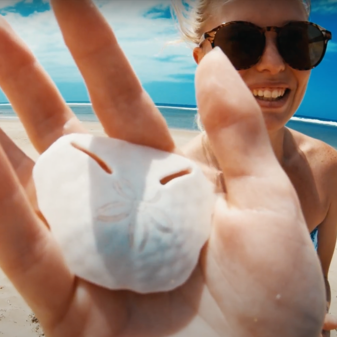 Finding a Pansy Shell in Plettenberg Bay