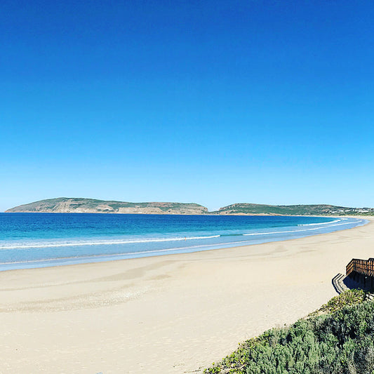 What is Plettenberg Bay known for?