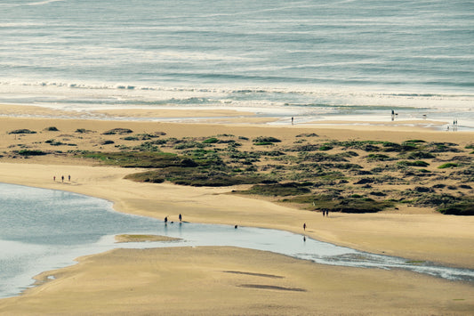 Finest Beaches in Plettenberg Bay