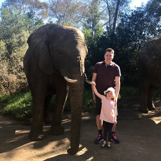 Where can you ride elephants in South Africa?